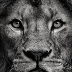 Meet your Posher, Sergio